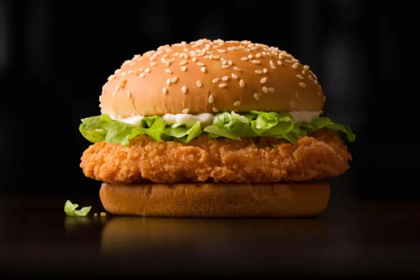 CHICKEN BURGER